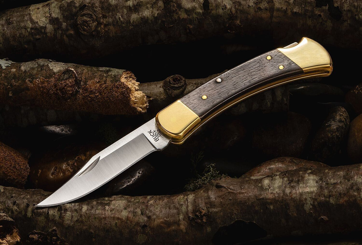 Buck Knives 110 3-3/4" Folding Hunter Knife